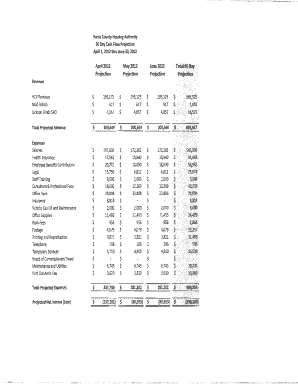 90 Day Cash Flow Projection - hchatexas