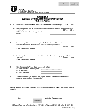 Business Errors and Omissions Application Supplement