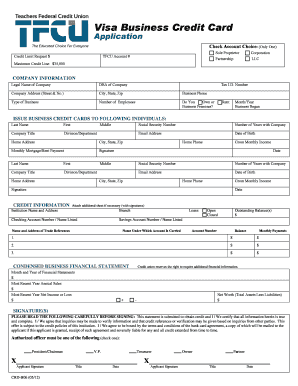 Visa Business Credit Card Application
