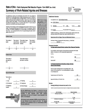 Ohio Form 300AP - Work-Related Injuries and Illnesses Summary