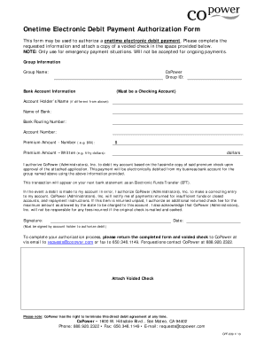 One-Time Electronic Debit Payment Authorization Form