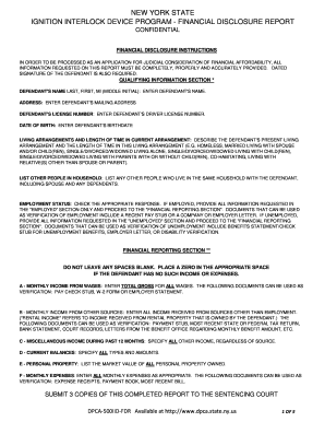 New York Ignition Interlock Device Program Financial Disclosure Report