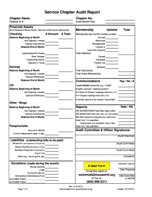 Service Chapter Audit Report