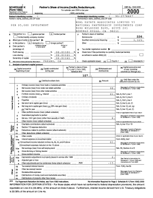 IRS Form 1065 Schedule K-1