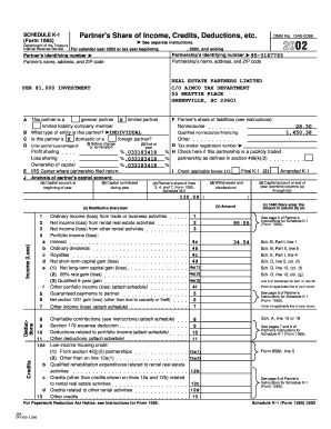 IRS Schedule K-1 Form 1065