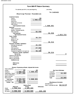 Form 990-PF Return Summary