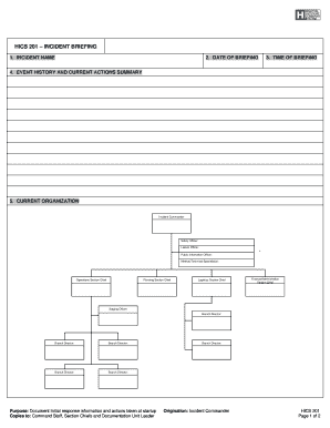 Incident Briefing Form HICS 201