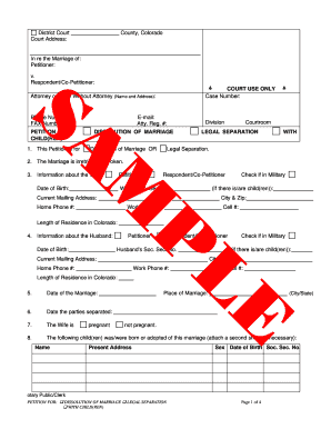Colorado Dissolution of Marriage Petition