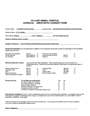 Village Animal Hospital Surgical Anesthetic Consent Form