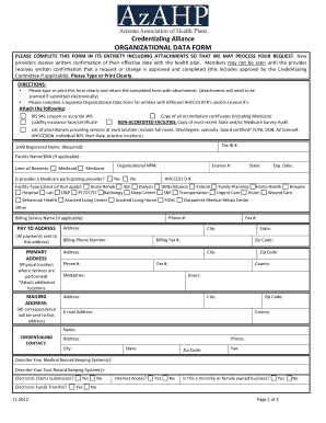 Organizational Data Form