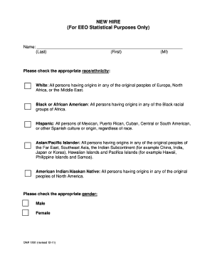 New Hire EEO Statistical Form