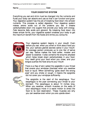 Digestive System Reading Comprehension Worksheet