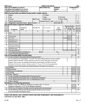 Skilled Nursing Facility Provider Period Worksheet