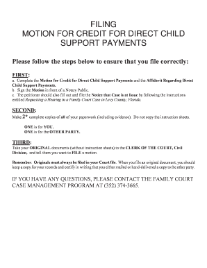 Motion for Credit for Direct Child Support Payments