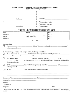 Domestic Violence Protection Order