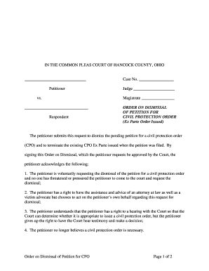 Order on Dismissal of Petition for Civil Protection Order