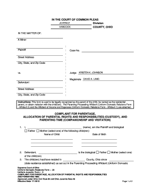 Ohio Parentage and Custody Complaint