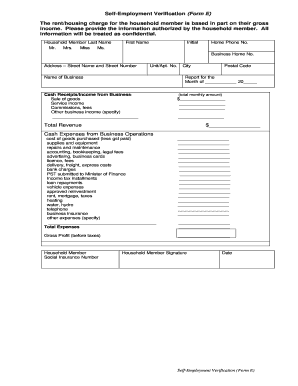 Self-Employment Verification Form E