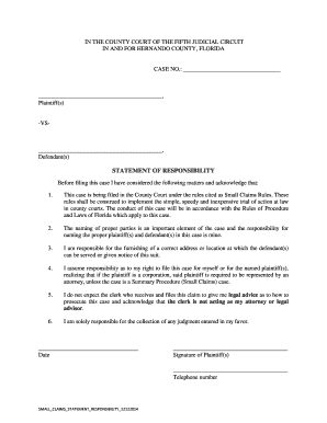 Florida Small Claims Statement of Responsibility