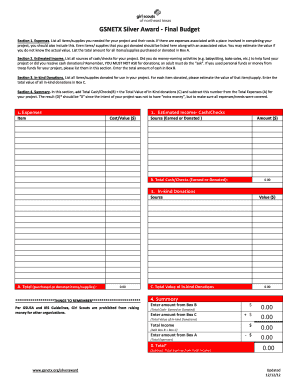 Girl Scouts Silver Award Final Budget