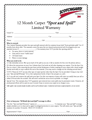12 Month Carpet Spot and Spill Warranty