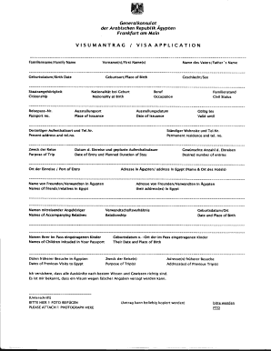 Egyptian Visa Application Form