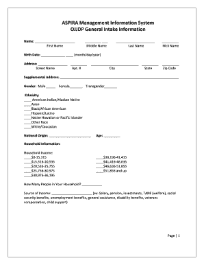 OJJDP Youth Development Intake Form