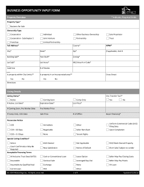 Business Opportunity Input Form