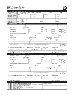 BMW Financial Services Consumer Credit Application