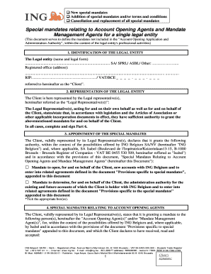 Special Mandates Relating to Account Opening Agents