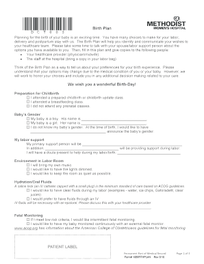 birth plan worksheet