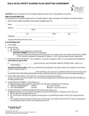 SOLO 401(k) Profit Sharing Plan Adoption Agreement
