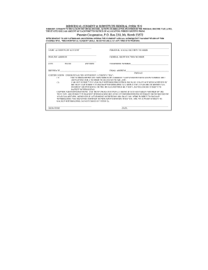 Individual Consent Form W-9