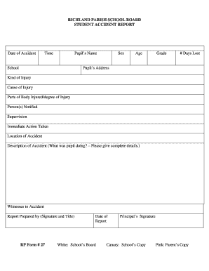 Student Accident Report