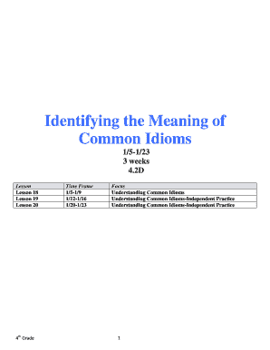 Common Idioms Lesson Plan