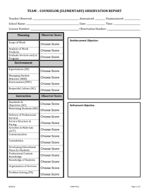 Elementary Counselor Observation Report