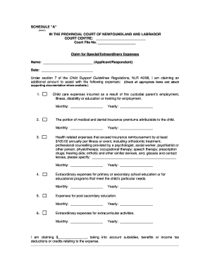 Child Support Extraordinary Expenses Claim Form