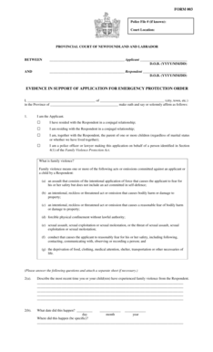 Emergency Protection Order Application