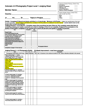 Form preview picture