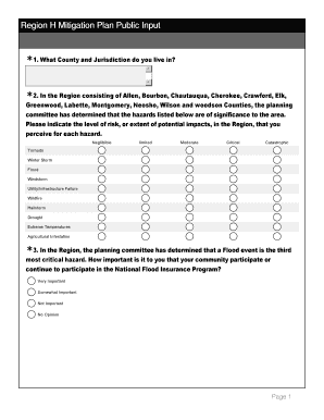 Region H Mitigation Plan Public Input Form