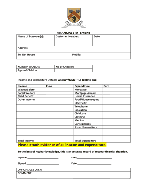 Financial Statement for Loan Application