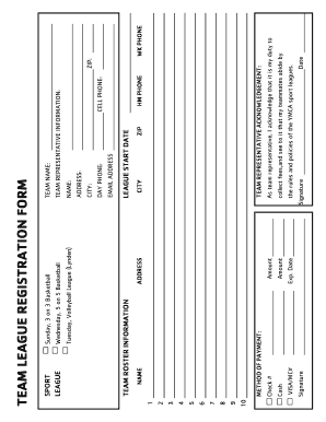 YMCA Team League Registration Form