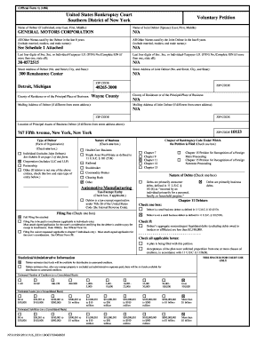 US Bankruptcy Court Voluntary Petition