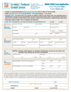Quick Loan Application