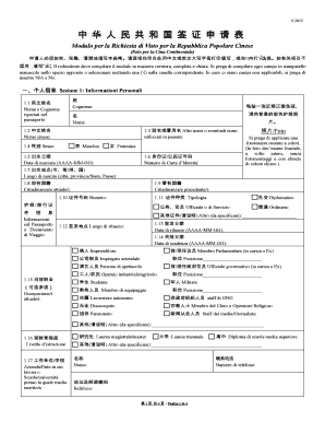 China Visa Application Form