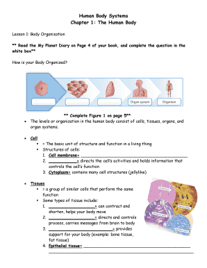 Human Body Systems Worksheet