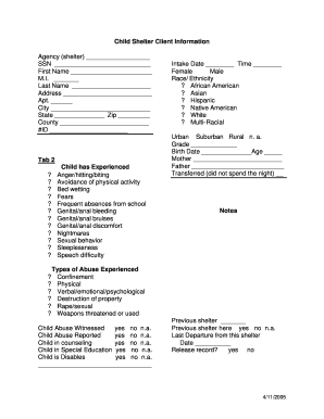 Child Shelter Client Information Form