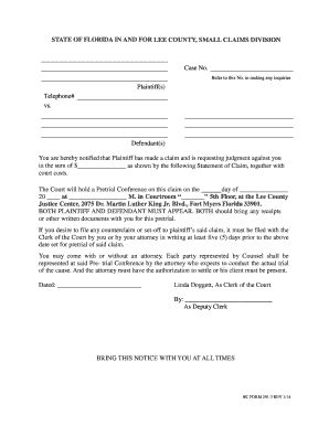 Florida Small Claims Court Notice