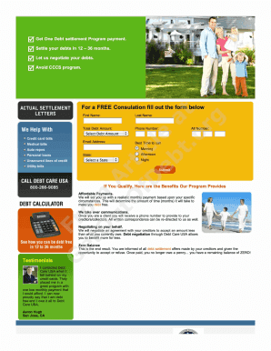 Debt Settlement Application Form