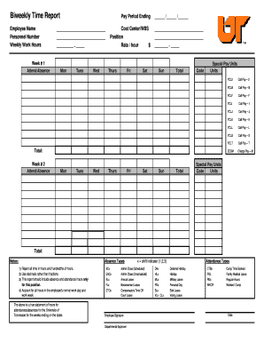 Biweekly Time Report